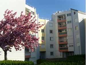 t3 à la vente -   44400  REZE, surface 66 m2 vente t3 - UBI459107075